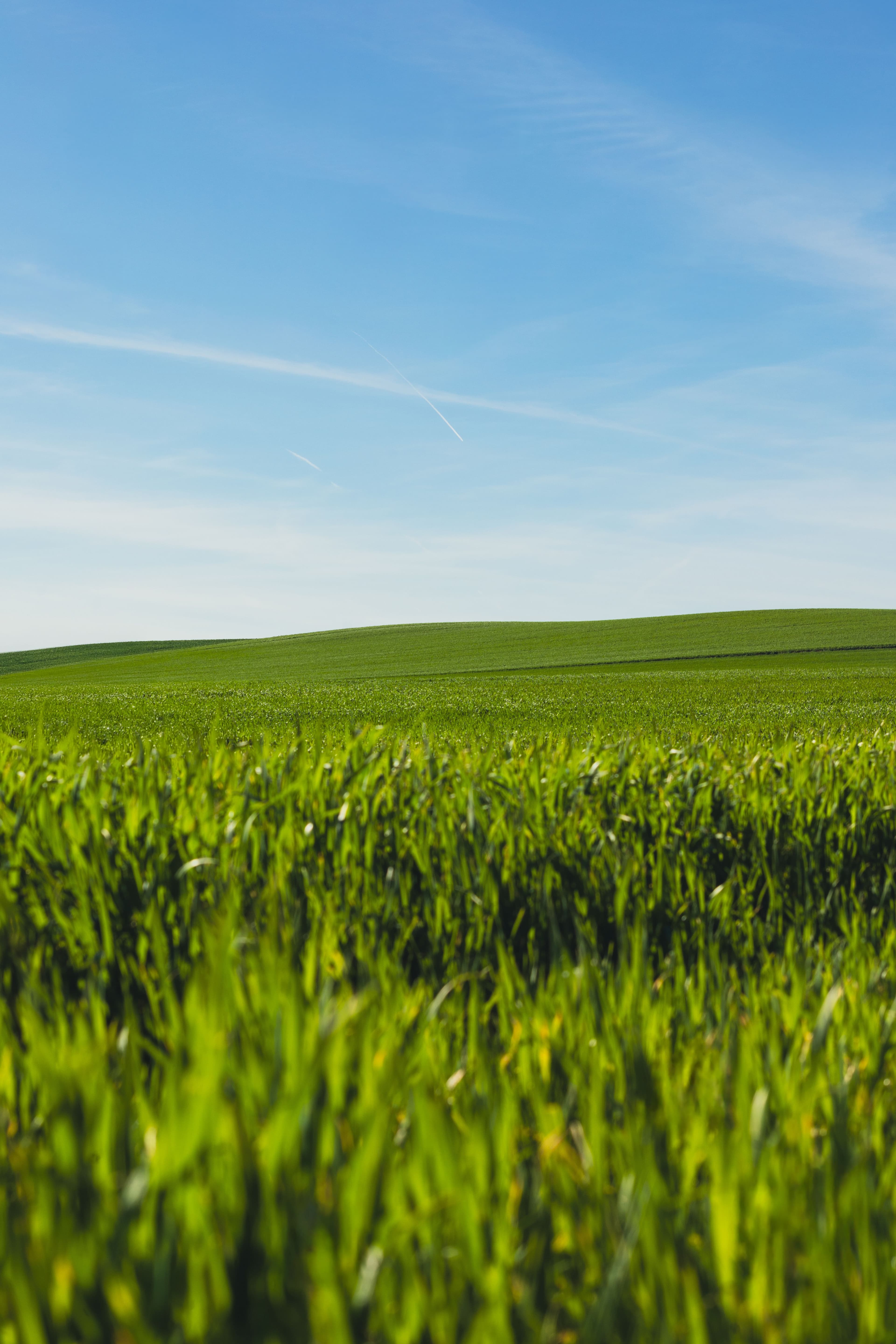 Commodities Agricoles